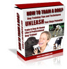 Thumbnail How to Train Your Dog Professionaly at home?