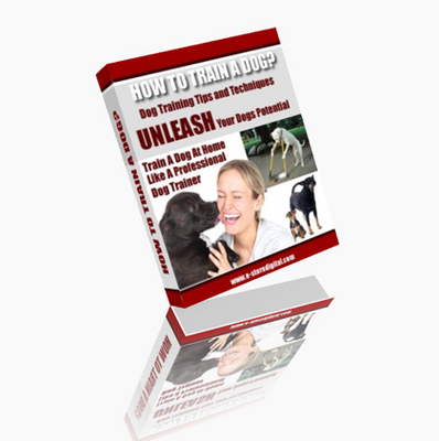 Product picture How to Train Your Dog Professionaly at home?